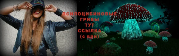 2c-b Горно-Алтайск