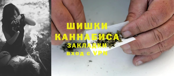 2c-b Горно-Алтайск